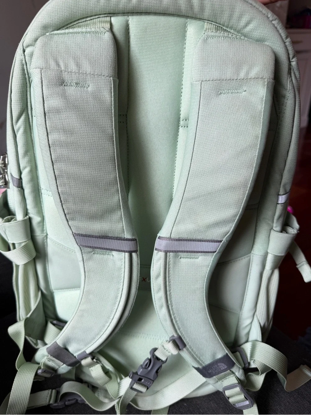 The North Face Mint Green Everyday Backpack